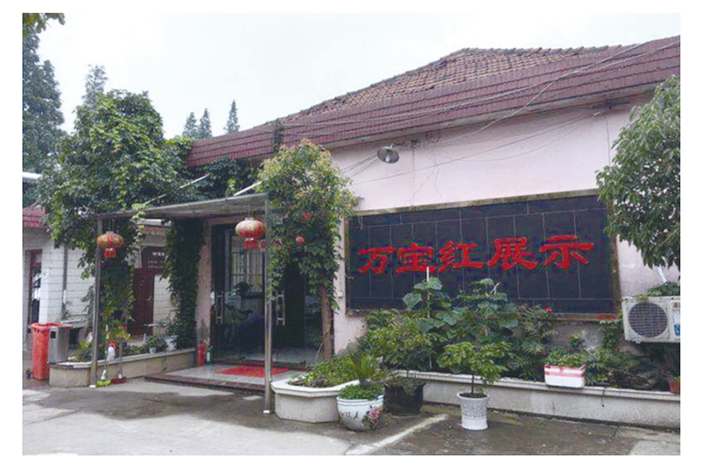 江苏万宝红商业展示