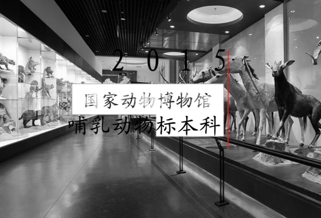 北京华源彤达科技有限公司